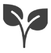 Eco-friendly Icon